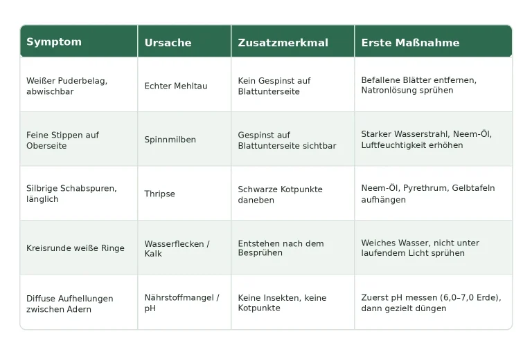 Diagnose-Tabelle weiße Punkte auf Blättern bei Cannabis: Symptom, Ursache, Zusatzmerkmal und erste Maßnahme für Spinnmilben, Mehltau, Thripse, Wasserflecken und Nährstoffmangel
