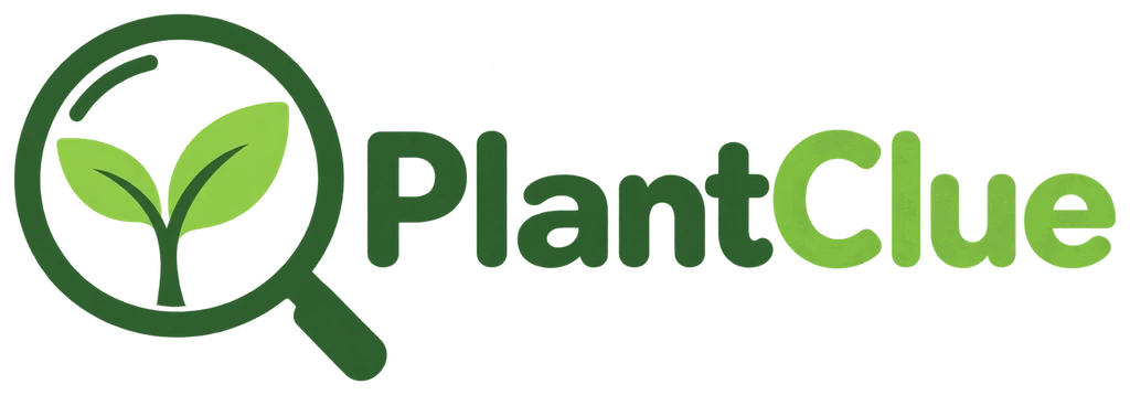 PlantClue Logo – Lupe mit Keimling und Schriftzug PlantClue