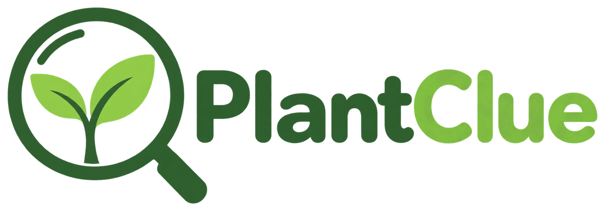 PlantClue Logo – Lupe mit Keimling und Schriftzug PlantClue